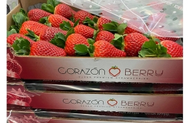 Llegan las fresas a Frutas La Juaida