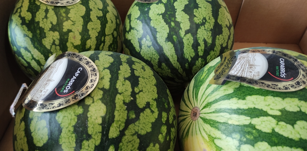 Llegan las primeras sandías a Frutas La Juaida