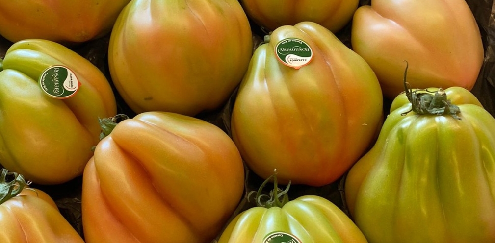 Tomate especial ensaladas Corazón de Buey