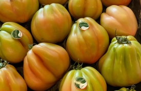 Tomate especial ensaladas Corazón de Buey