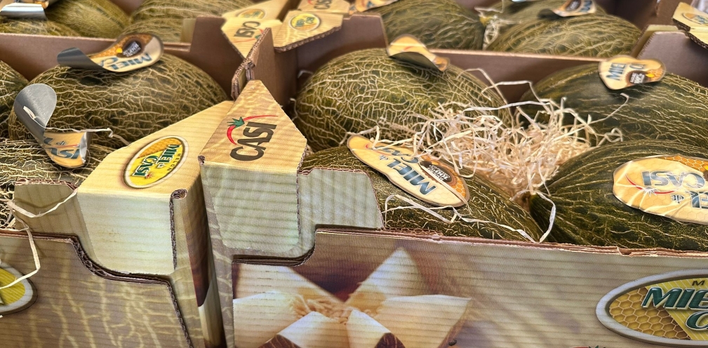 Melón Miel
