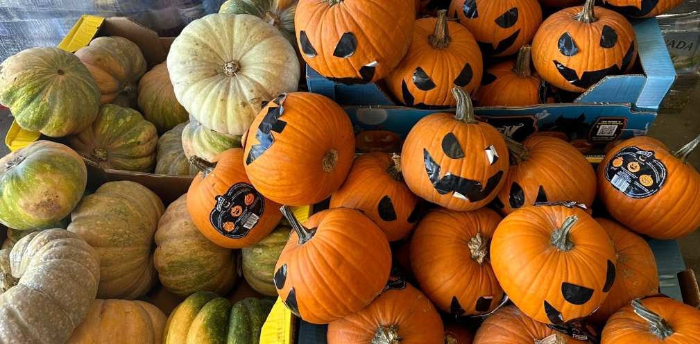 Calabazas de otoño