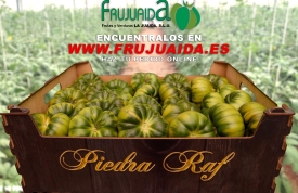 Vuelve el mejor tomate Raf