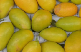 ¿Conoces esta fruta?