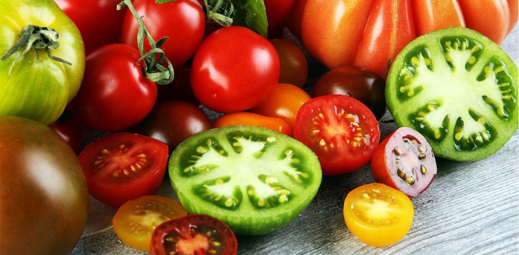 El Viaje del Tomate: De los Andes a la Mesa Global