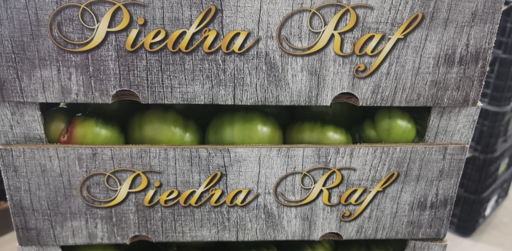 Abrimos la venta del Tomate Raf