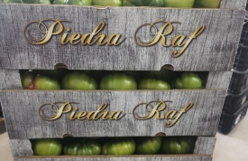 Abrimos la venta del Tomate Raf