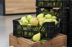 ¡La dulzura hecha fruta ya está aquí!